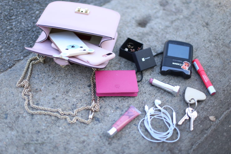 whats in my bag luisa lion rosa valentino
