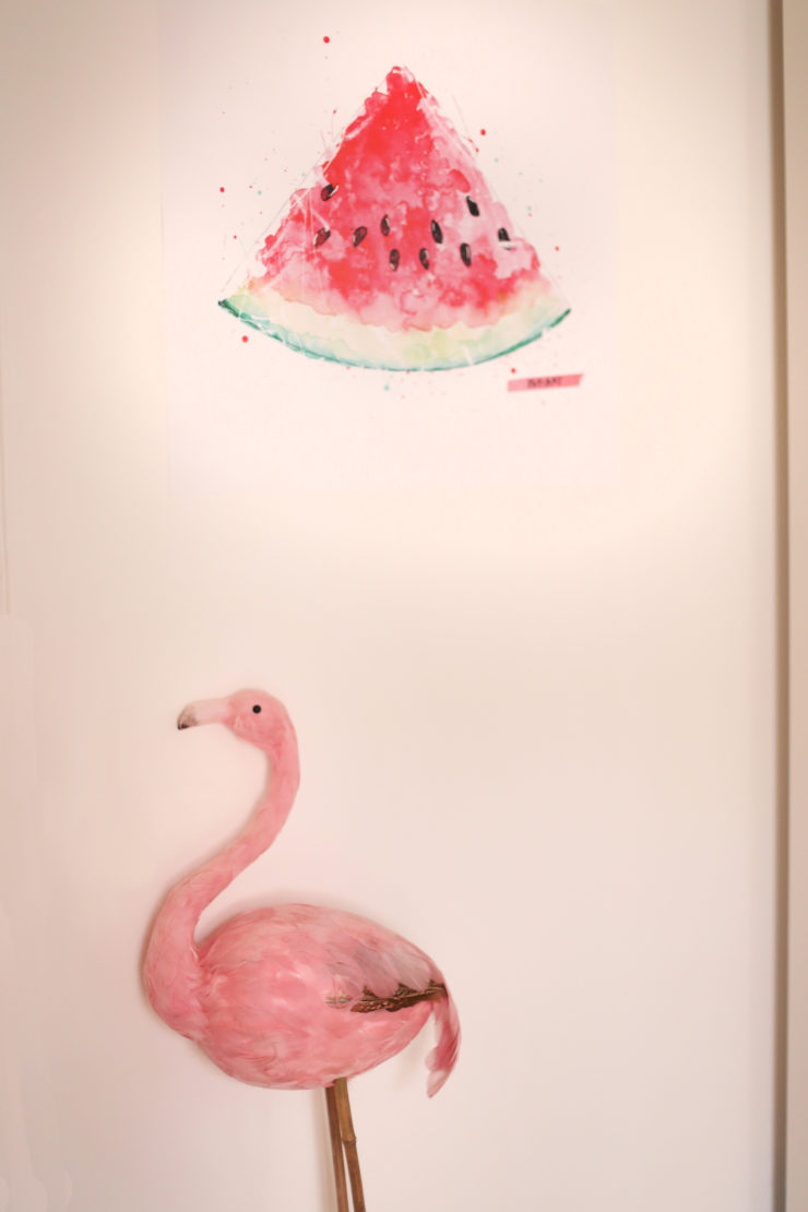 Wassermelone_Flamingo_LuisaLion_Rommtour